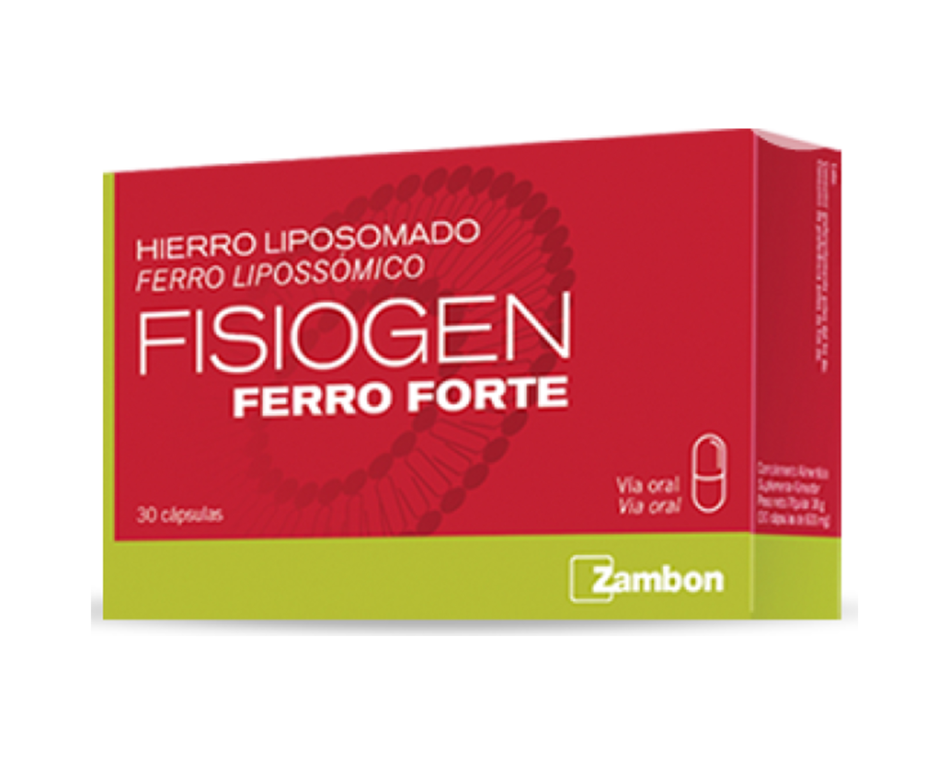 Fisiogen Ferro リーフレット