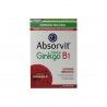 Absorvit Biloba Ginkgo + B1 60 Comprimidos