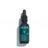 Caudalie Vinergetic C+ leo Desintoxicante de Noite 30ml