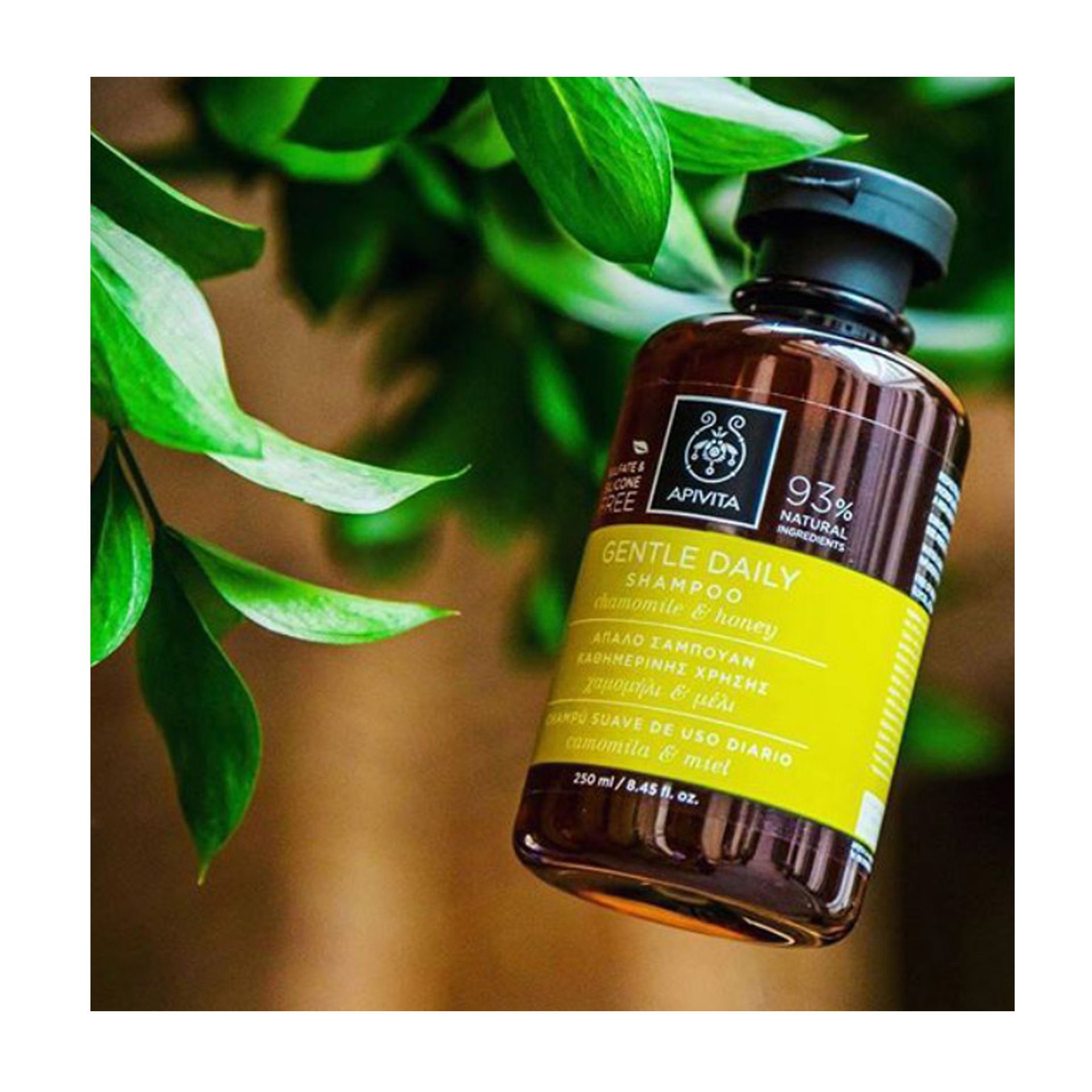 Apivita Champô Suave Uso Frequente 250ml