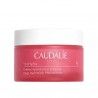 Caudalie VinoHydra Creme Hidratao Intensa Pele Seca 50ml