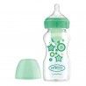 Dr Brown's Options Bibero Largo Verde Tetina Silicone 270ml