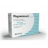 Magnesiocard 1229,6mg Sem Aucar 20 Saquetas