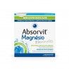 Absorvit Magnésio Electrolits 12 Saquetasx4g Absorvit Magnésio Electrolits 12 Saquetasx4g